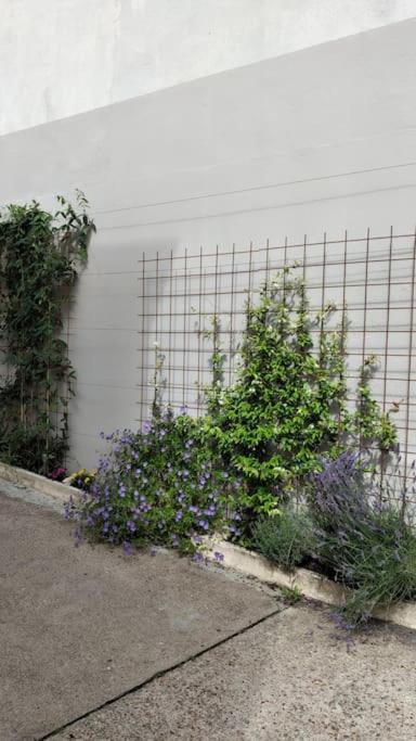 Experience Inouie A Orleans ! Apartment Luaran gambar